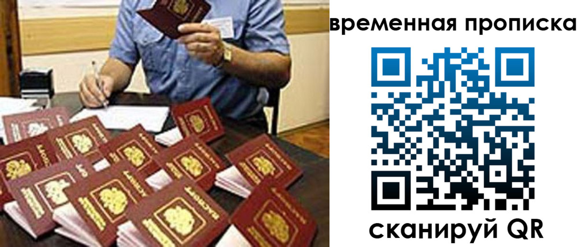 прописка для школы в Братске